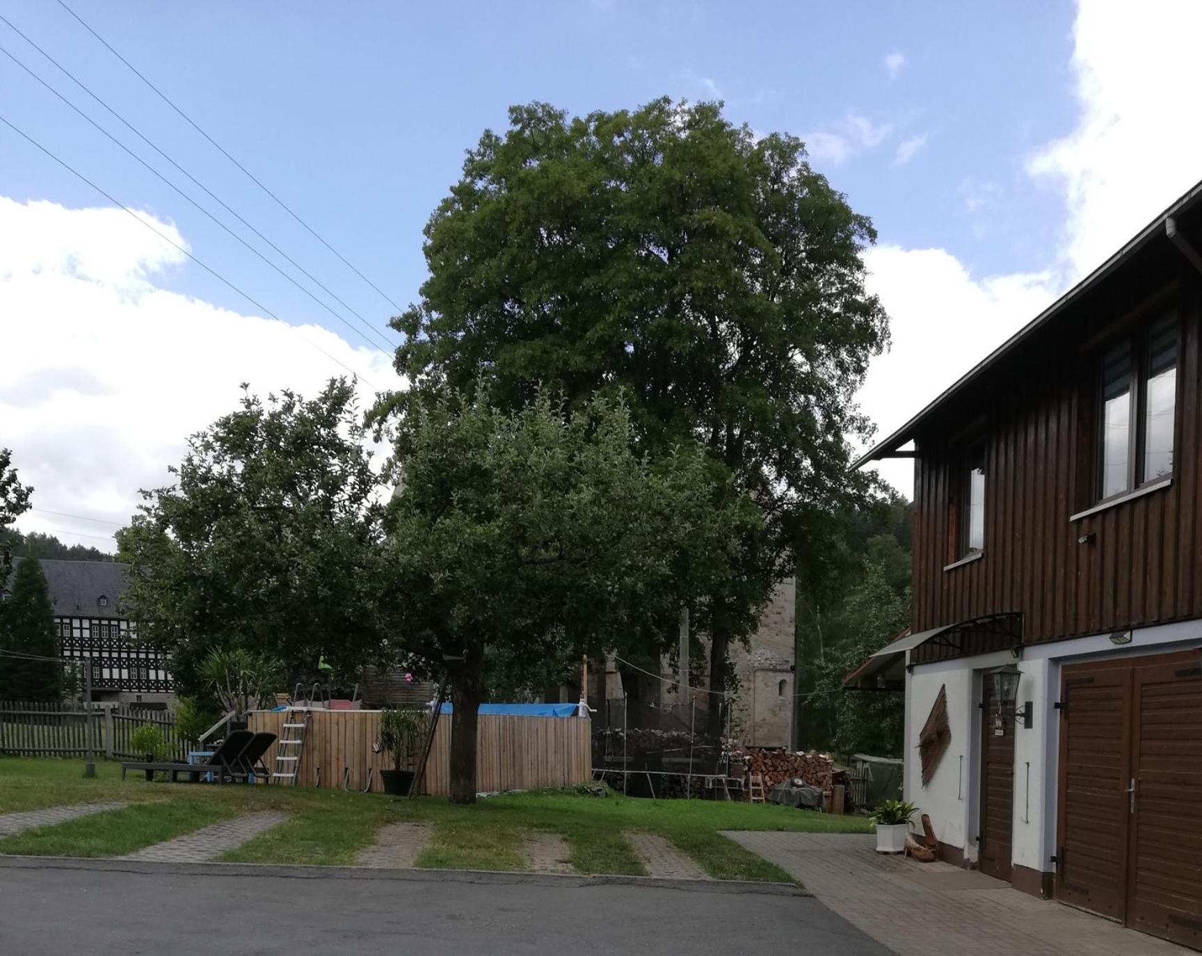 Fewo An Der Klosterruine Paulinzella Mit Kostenfreien Parkplatz Und Wlan 외부 사진