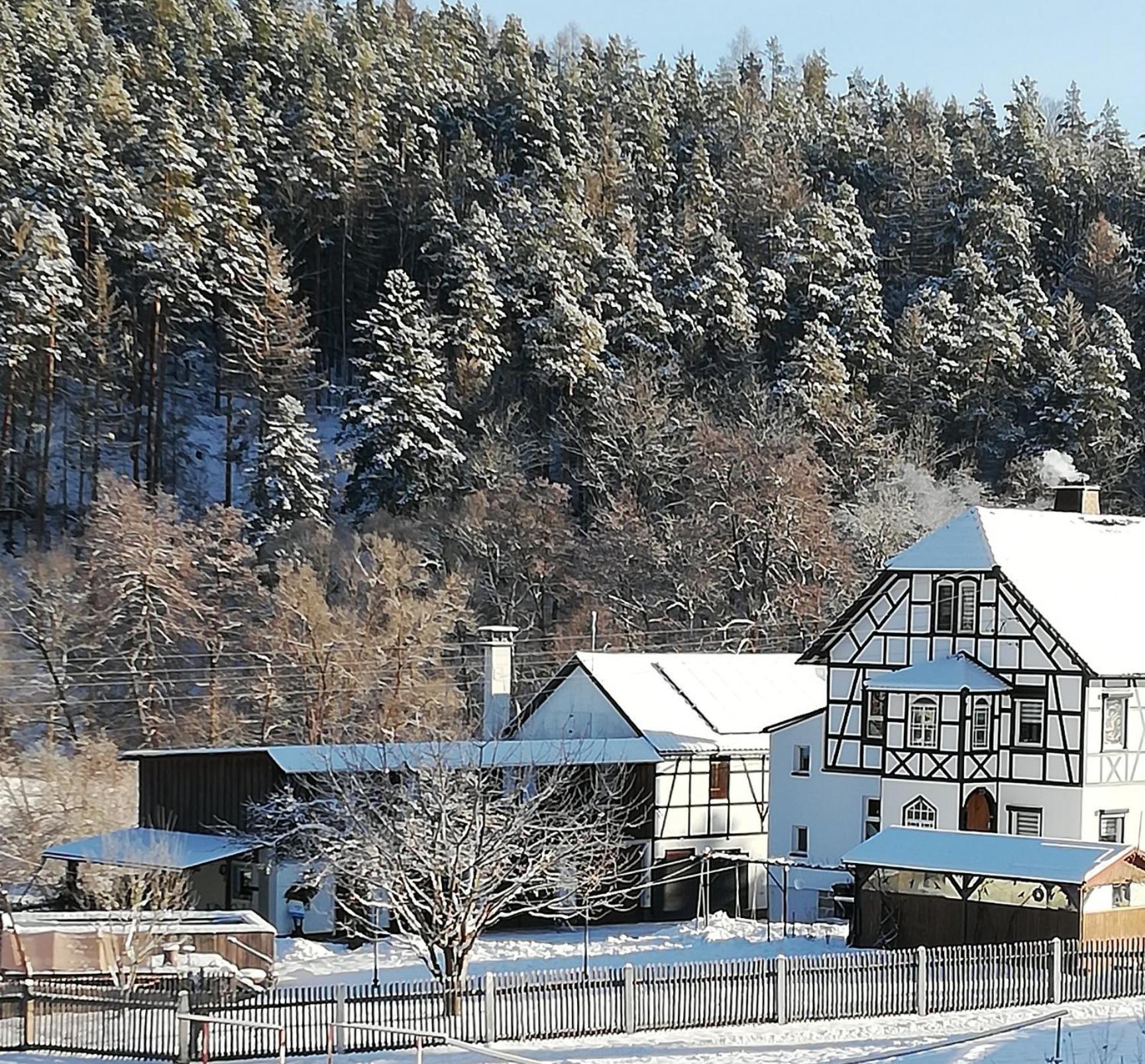 Fewo An Der Klosterruine Paulinzella Mit Kostenfreien Parkplatz Und Wlan 외부 사진